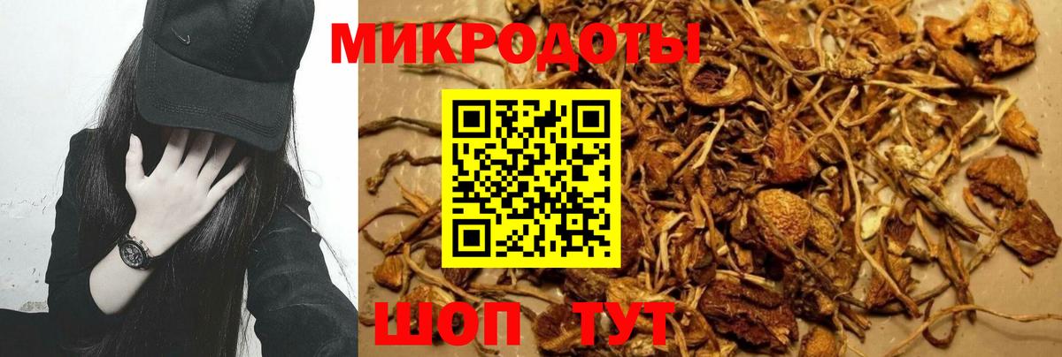 Нижнекамск  Псилоцибиновые грибы Cubensis  Псилоцибиновые грибы Magic Shrooms  Вход с VPN 